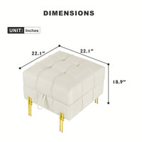 22 Inch Stylish Anti-Scratch Leather Storage Ottoman Pet Friendly Entryway Bench with Gold Stainless Steel Legs Multiple Color Options