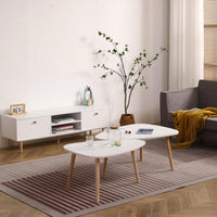 Modern Egg Shape Coffee Table-900 – Stylish Design With Easy Assembly