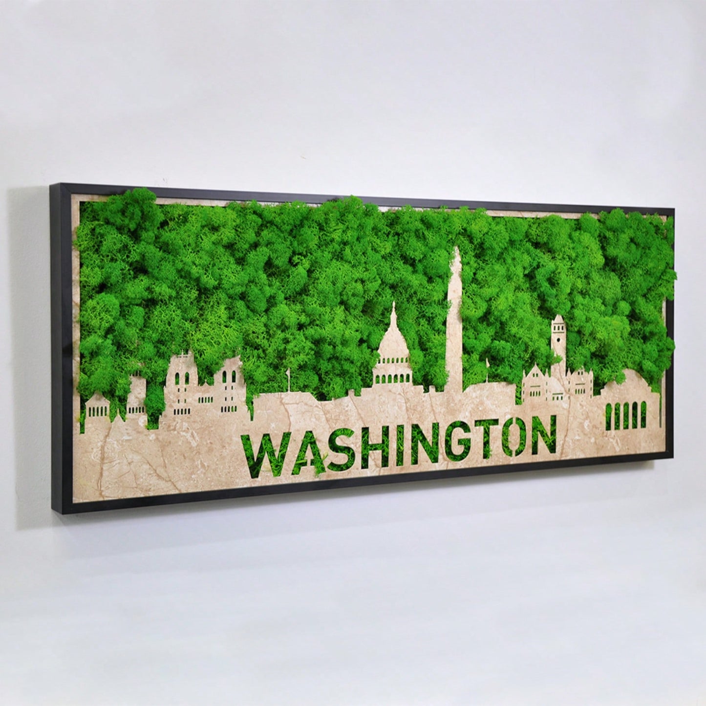 Washington City Silhouette Wall Art With Moss Background