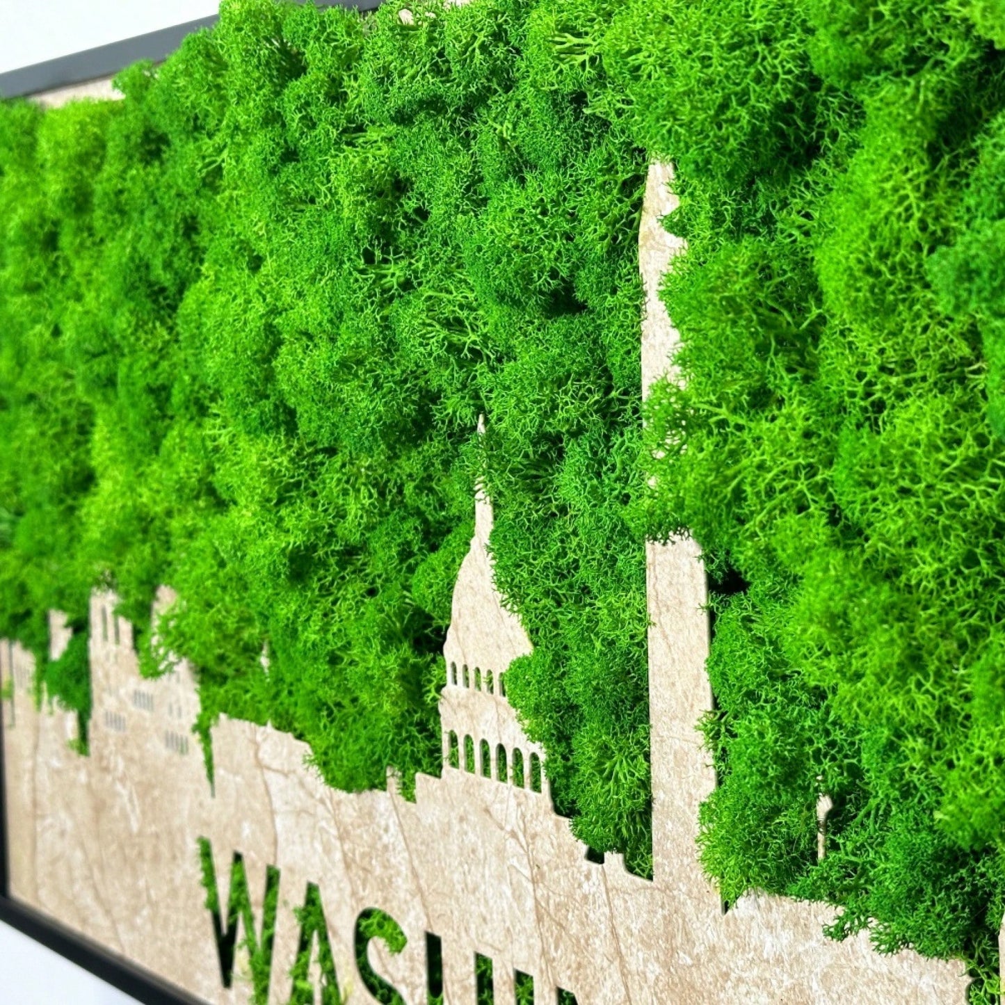 Washington City Silhouette Wall Art With Moss Background