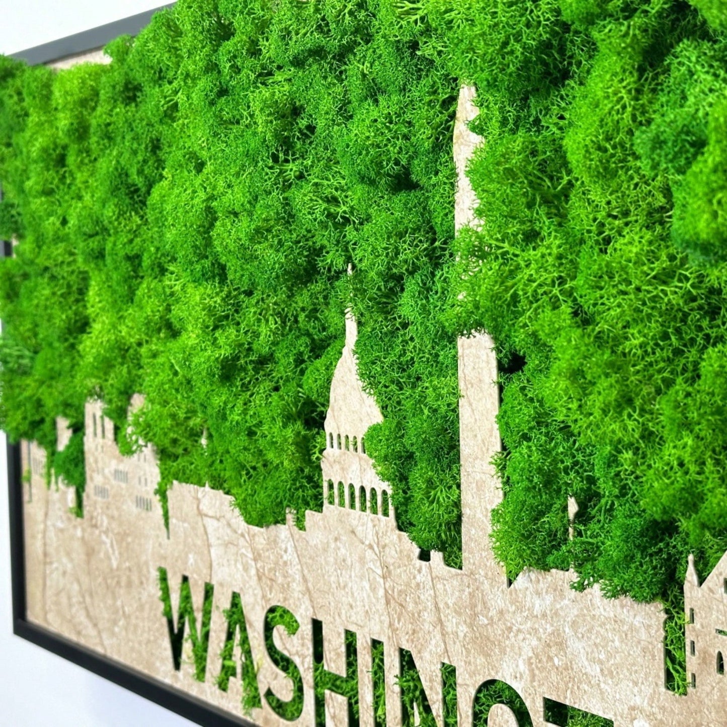 Washington City Silhouette Wall Art With Moss Background