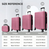 Pink 4-Piece Hardshell Luggage Set With Spinner Wheels And TSA Lock - Lightweight Checked Suitcases (12in, 20in, 24in, 28in)