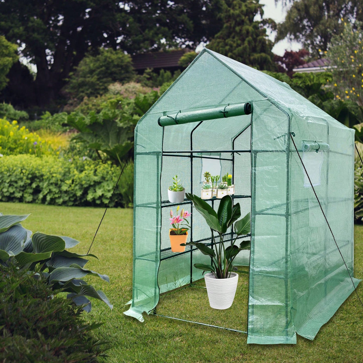 Compact 2-Tier Portable Walk-In Greenhouse with 8 Shelves for Indoor Outdoor Gardening 56L x 56W x 76H Ideal for Herbs Flowers and Vegetable