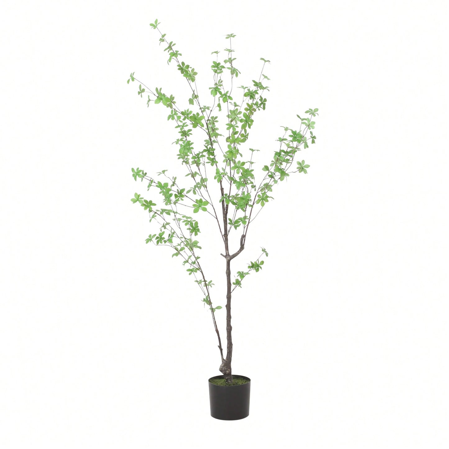 150CM Realistic Artificial Disc Leaf Tree - Perfect Indoor And Outdoor Decorative Plant