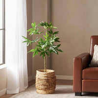 120CM Lifelike Artificial Pachira Plant For Home And Office Decor - Perfect Faux Tree For Any Space