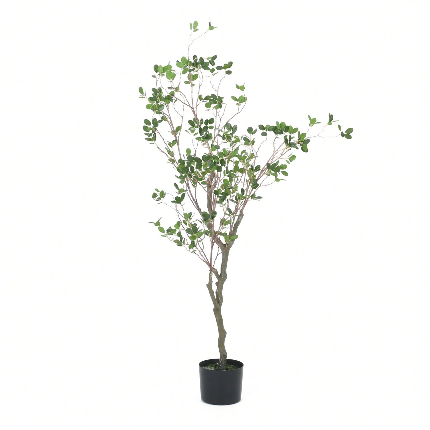 120 Cm Realistic Artificial Milan Leaf Bonsai Tree – Ideal Home Decor And Office Accent