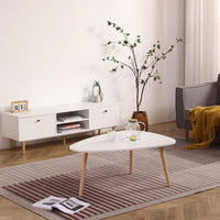 Elegant Egg-Shaped Coffee Table For Modern Living Spaces - Stylish And Unique Design