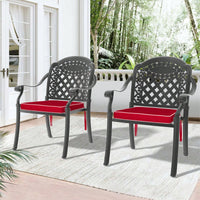 Set Of 2 Cast Aluminum Patio Dining Chairs With Cushions In Assorted Colors And Black Frame