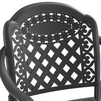 Set Of 2 Cast Aluminum Patio Dining Chairs With Cushions In Assorted Colors And Black Frame