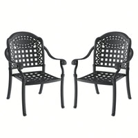 Set Of 2 Cast Aluminum Patio Dining Chairs With Cushions In Assorted Colors And Black Frame