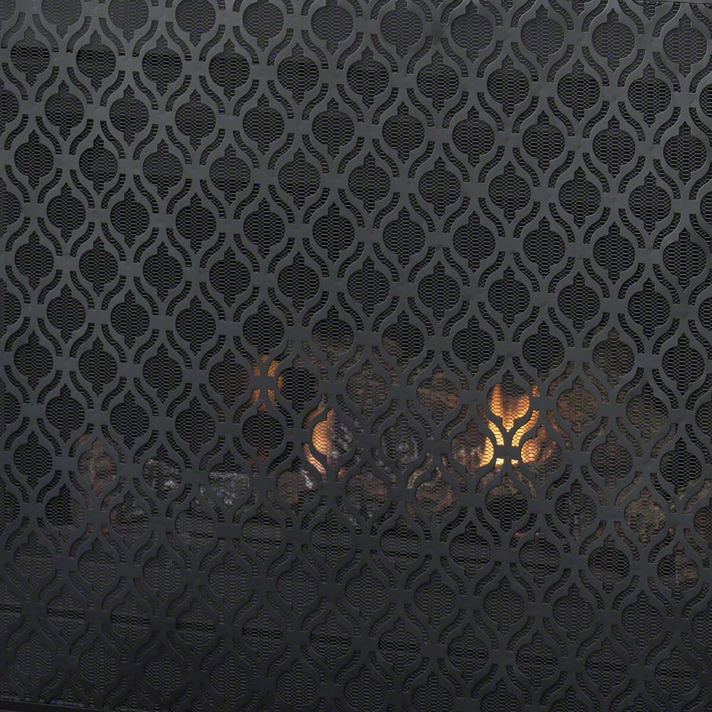 Elegant Fire Screen With Decorative Design For Home Safety And Style