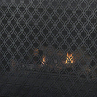 Elegant Fire Screen With Decorative Design For Home Safety And Style