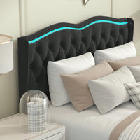 Velvet Upholstered Queen Bed Frame With Tufted Headboard And LED Lights, Black With Pull-Out Storage Drawers