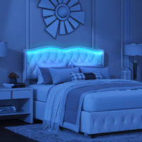 Velvet Upholstered Queen Bed Frame With Tufted Headboard And LED Lights, Black With Pull-Out Storage Drawers