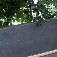 Elegant 3'3" X 5' Area Rug For Living Room And Bedroom Decor