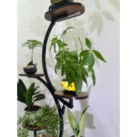 Indoor Plant Stand With Grow Lights 8 Tiered Metal Flower Holder 61 Inch Tall S-Shaped Rack For Home And Patio