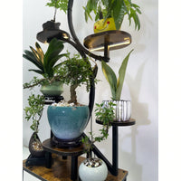 Indoor Plant Stand With Grow Lights 8 Tiered Metal Flower Holder 61 Inch Tall S-Shaped Rack For Home And Patio