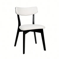 Elegant Set Of 2 Modern Dining Chairs For Stylish Home Decor