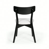 Elegant Set Of 2 Modern Dining Chairs For Stylish Home Decor