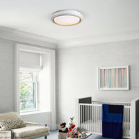 Dimmable 36W LED Flush Mount Ceiling Light 19.69in 3600LM With 5 Color Temperatures For Bedroom Bathroom Hallway
