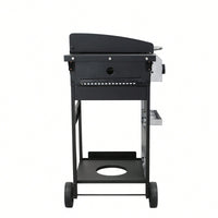 Portable 2-Burner Propane BBQ Grill with Stainless Steel Plancha 24600 BTU Enamel Grids Foldable Side Table and Hanging Basket