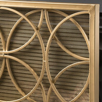 Elegant Fire Screen For Home Decor And Safety - Durable Metal Design With Stylish Finish