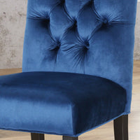 Elegant Tufted Dining Chairs Set Of 2 For Modern Home Decor