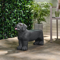 Durable Outdoor Dog Bench With Comfortable Design For Pets And Owners