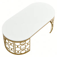 Contemporary Oval Coffee Table With Decorative Cut-Out Metal Frame 47.2 Inches
