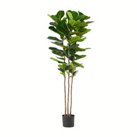 180CM Artificial Fiddle Leaf Fig Tree With 72 Lush Green Leaves For Home And Office Decor