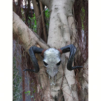 Lifelike Bone-Inspired Bull Head Wall Decor Resin Craft North American Style Home Accent