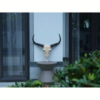 Lifelike Bone-Inspired Bull Head Wall Decor Resin Craft North American Style Home Accent