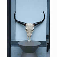 Lifelike Bone-Inspired Bull Head Wall Decor Resin Craft North American Style Home Accent