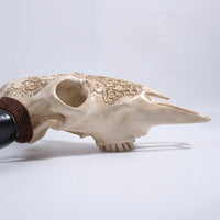 Lifelike Bone-Inspired Bull Head Wall Decor Resin Craft North American Style Home Accent