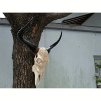 Lifelike Bone-Inspired Bull Head Wall Decor Resin Craft North American Style Home Accent