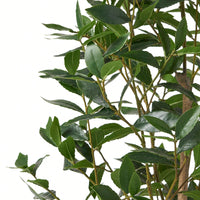 150CM Artificial Laurel Tree For Home Decor And Indoor Landscaping