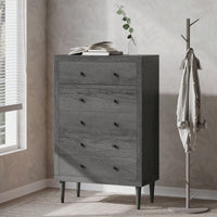 Elegant 5-Drawer Storage Chest For Bedroom Or Living Room Organization