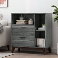 Stylish Modern Storage Cabinet For Home And Office Organization