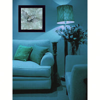 Charming Ready-To-Hang Framed Owl Art Print In Elegant Black Frame - Perfect For Home Decor