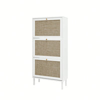 Modern Freestanding 3 Door Shoe Storage Cabinet For Entryway Organization