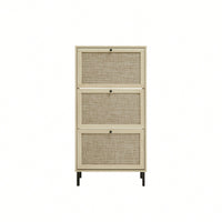 Modern Freestanding 3 Door Shoe Storage Cabinet For Entryway Organization
