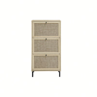Modern Freestanding 3 Door Shoe Storage Cabinet For Entryway Organization