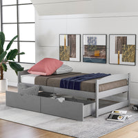 Twin Size Platform Bed, With Two Drawers