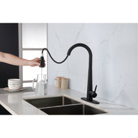 Black Kitchen Faucet with Pull Down Sprayer - Matte Finish, Single Handle, Fingerprint Resistant, Deck Mount Sink Faucet