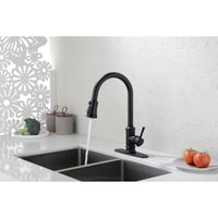 Single Handle High Arc Brushed Nickel Kitchen Faucet with Pull Down Sprayer - Stainless Steel Single Level Sink Faucet