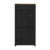 Stylish Entryway Shoe Cabinet with 2 Flip Drawers Adjustable Panel Black Wood Grain Finish