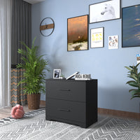 2 Drawer Lateral Filing Cabinet for Home Office Storage Black Metal File Organizer