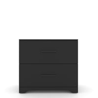 2 Drawer Lateral Filing Cabinet for Home Office Storage Black Metal File Organizer