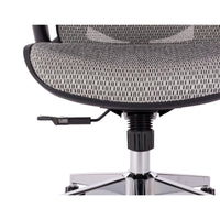 Ergonomic High Back Mesh Office Chair with Adjustable Headrest, Flip-Up Arms, Lumbar Support, Tilt Lock, Chrome Legs