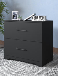 2 Drawer Lateral Filing Cabinet for Home Office Storage Black Metal File Organizer